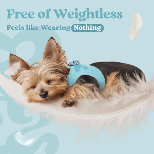 rabbitgoo Step-in Small Dog Harness, Puppy Vest - Image 5