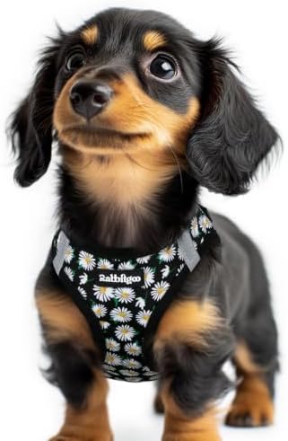 rabbitgoo Step-in Small Dog Harness, Puppy Vest by rabbitgoo