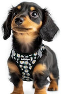 rabbitgoo Step-in Small Dog Harness, Puppy Vest by rabbitgoo