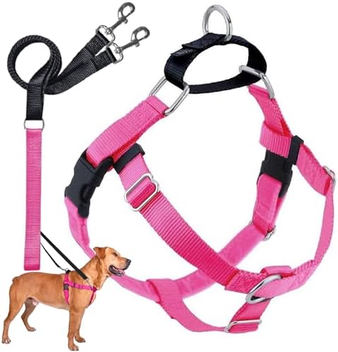 2 Hounds Design Freedom No Pull Dog Harness and Leash, 5/8" XS, Hot Pink by 2HoundsDesign
