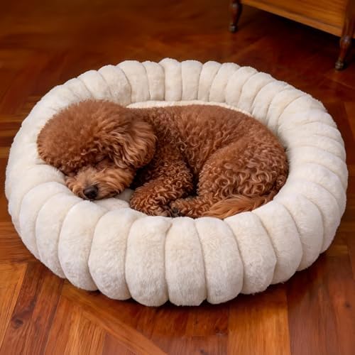 Donut Small Dog Bed Round Calming Kitten & Puppy Bed, 20in White by VhenWhen