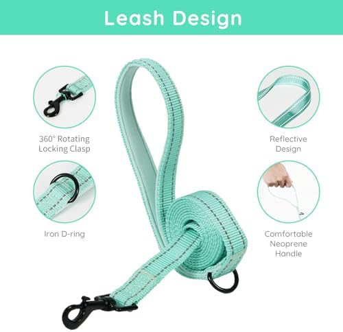 BELLA & PAL Small Dog Harness - Image 3