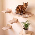 INICIO Cat Shelves by INICIO