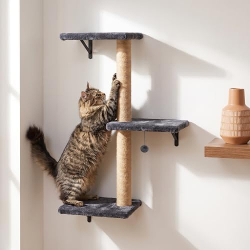 Cat Climbing Wall Systems with Scratching Post & Massager Groomer - Image 5