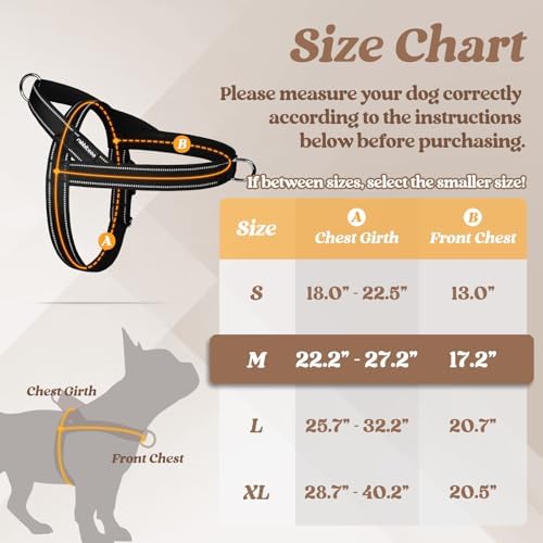 rabbitgoo Dog Harness No Pull, Quick Fit - Image 2