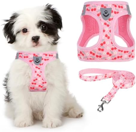 KOOLTAIL Dog Harness for Small Medium Dogs, Dog Harness and Leash Set, Step in by KOOLTAIL