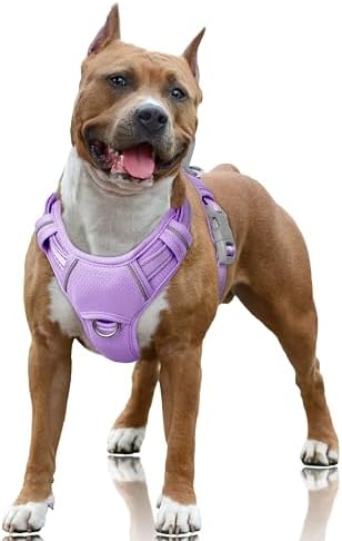 BARKBAY No Pull Dog Harness Large Reflective Dog Harness by BARKBAY