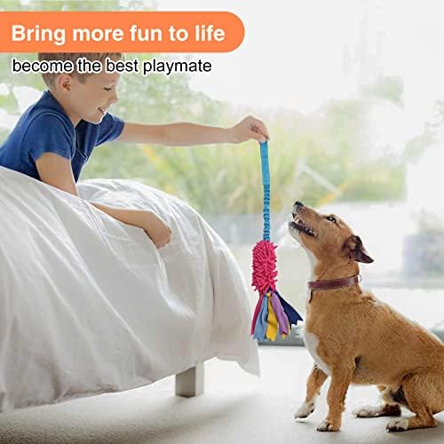 wodoca Dog Tug Toy - Image 5