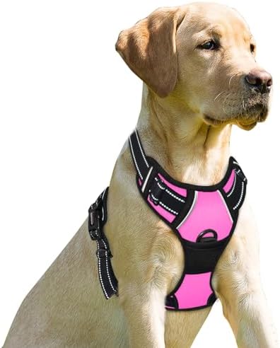 BARKBAY Dog Harness No Pull for Medium Sized Dog Front Back Clips, Dog Vest by BARKBAY