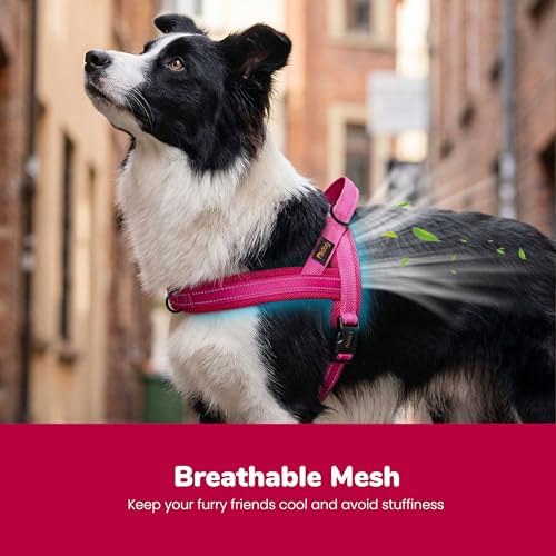 Didog No Pull Dog Harness for Medium Dogs, Breathable Mesh, Hot Pink - Image 2