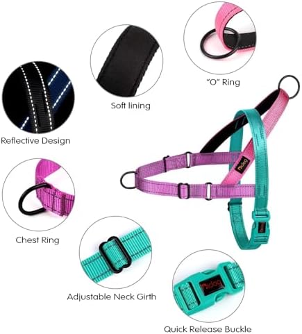 Didog No Pull Dog Harness for Small Dogs, Soft Padded Handle, Dark Green - Image 2