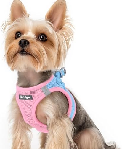 rabbitgoo Step-in Small Dog Harness, Puppy Vest by rabbitgoo