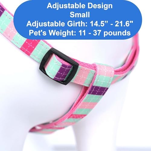 Pawtitas Multicolor Step-in Dog Harness – Adjustable No-Pull Vest - Image 3