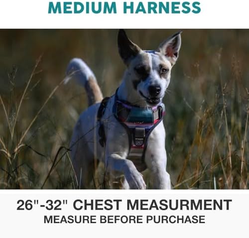 Embark No Pull Dog Harness, Reflective Adjustable Training Vest, No Choke - Image 2