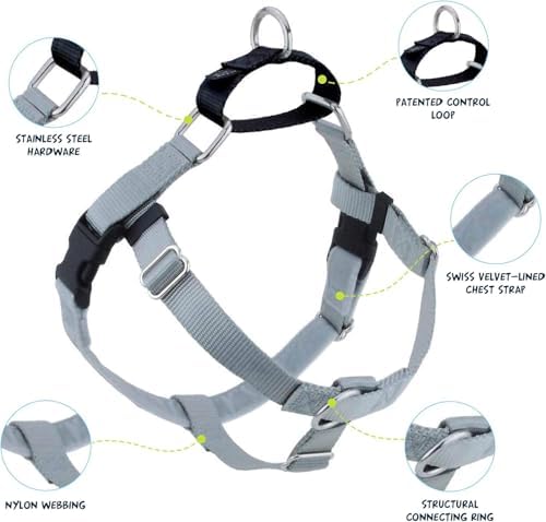 2 Hounds Design Freedom No Pull Dog Harness, 1 inch LG - Image 4