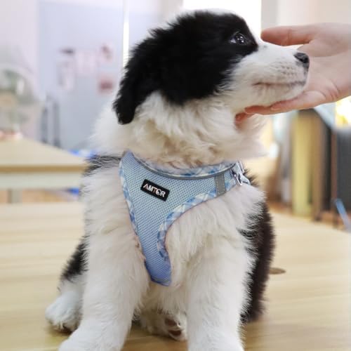 AMTOR Small Dog Harness with Leash Set, No Escape Easy Walk Puppy Harnesses - Image 4