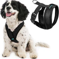 Gooby Comfort X Head-in Dog Harness, Choke-Free by Gooby