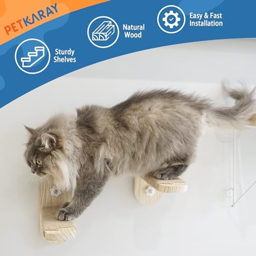 PETKARAY Cat Window Perch, Foldable Cat Hammock - Image 5