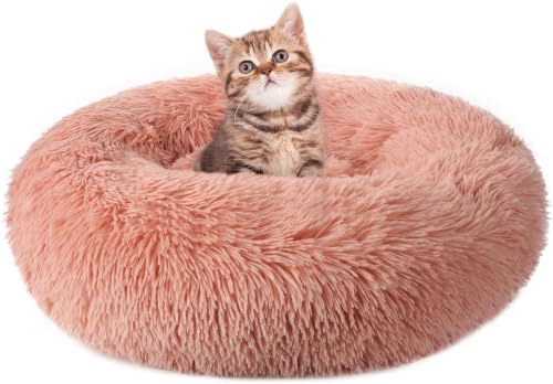 rabbitgoo Calming Cat Beds for Indoor Cats, 20 inches by rabbitgoo