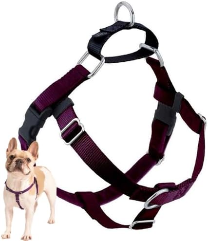 2 Hounds Design Freedom No Pull Dog Harness, 1 inch XL by 2HoundsDesign