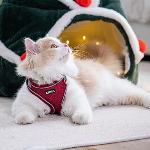 AIITLE Dog Harness and Leash Set, Step-in Puppy Pet Vest, Burgundy XS - Image 3