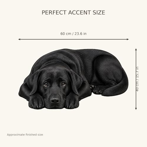 3D Realistic Dog Shaped Bath Mat & Floor Rug - Image 3