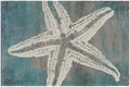 Giwawa Vintage Starfish Bath Rug Coastal Beachy Nautical Bathtub Mat Extra Soft by Giwawa