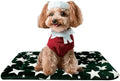 Dog Bed Mat, Reversible Dog Crate Pad by FogkissComfyPawsHome