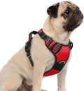 rabbitgoo Dog Harness Small Sized, No Pull 3 Buckles Easy On & Off by rabbitgoo