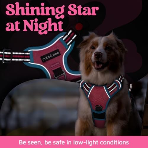 rabbitgoo Dog Harness Small Sized, No Pull 3 Buckles Easy On & Off - Image 6
