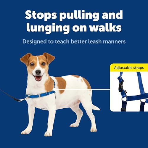 PetSafe Easy Walk Harness for Dogs - Image 3