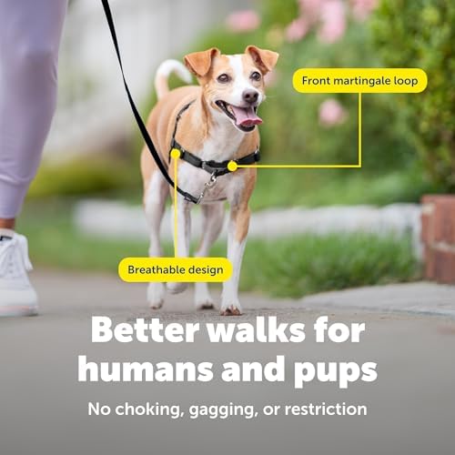 PetSafe Easy Walk Harness, No Pull Dog Harness, Deep Purple - Image 6