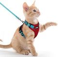 rabbitgoo Cat Harness and Leash Set, Escape Proof Vest by rabbitgoo