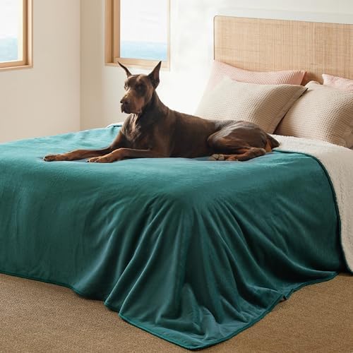 Bedsure Waterproof Blanket for Bed Soft Sherpa Fleece Throw, King 108"x86" by BEDSURE