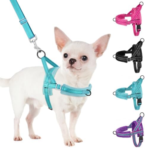 SlowTon No Pull Small Dog Harness and Leash Set by SlowTon