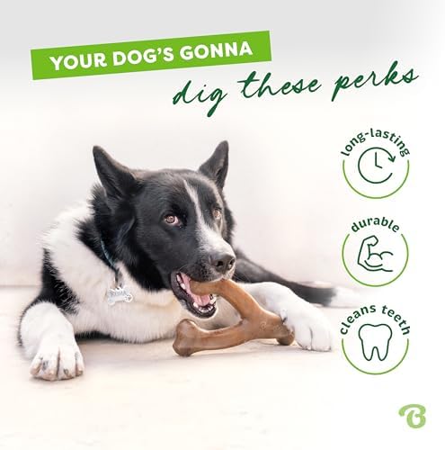 Benebone Wishbone Dog Chew Toy for Aggressive Chewers, Real Chicken - Image 3