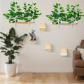 Gemscream 2 Pieces Cat Wall Shelves by Gemscream