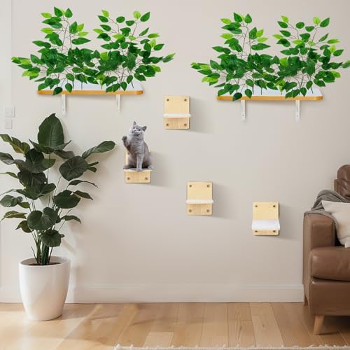Gemscream 2 Pieces Cat Wall Shelves by Gemscream