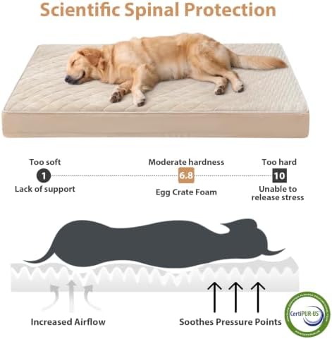 WNPETHOME Orthopedic Waterproof Extra Large Senior Dogs Bed - Image 3