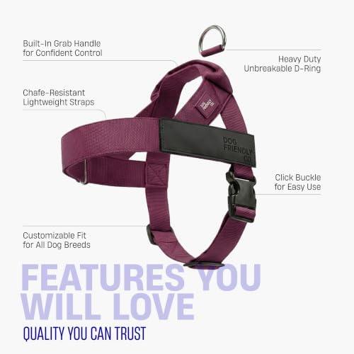 Dog Friendly Co. Dog Harness for Medium Sized Dogs - Image 5