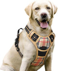 rabbitgoo Dog Harness, No Pull for Large Dogs by rabbitgoo