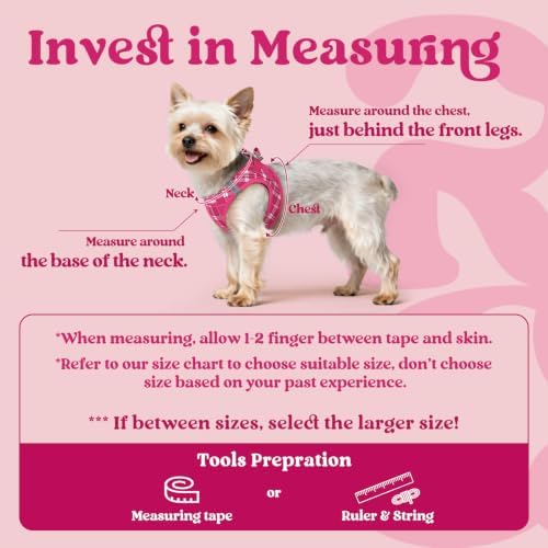 rabbitgoo Step-in Small Dog Harness, Puppy Vest - Image 2