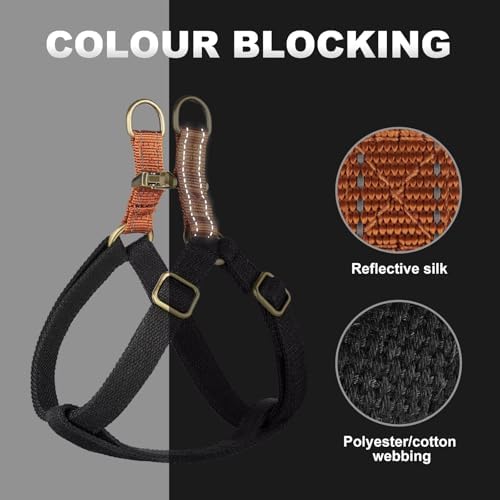 Didog Step in Dog Harnes for Medium Dogs, Chest 19-28" - Image 3