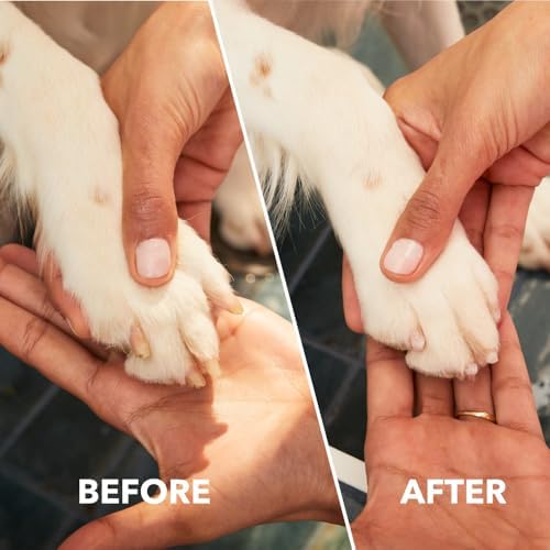 Dremel PawControl 7760-PET Dog Nail Grinder and Trimmer, Pet Grooming Kit - Image 4