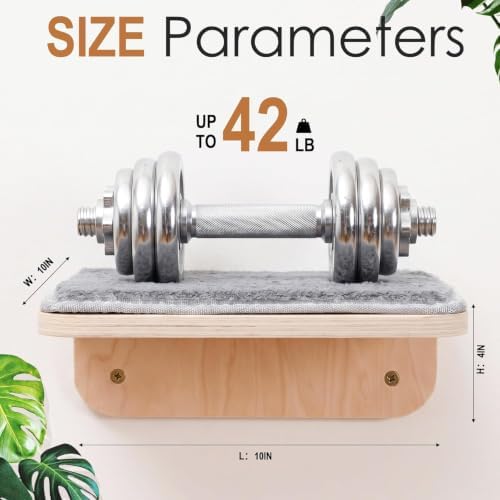 Wenqik 2 Pcs Cat Steps for Wall, Wooden Cat Climbing Shelf 10 x 10 x 4 Inch - Image 3