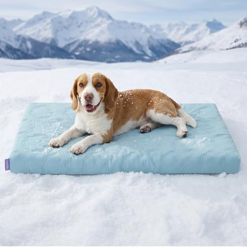 LE SURE ApexCloud™ Cooling Dog Bed by Lesure
