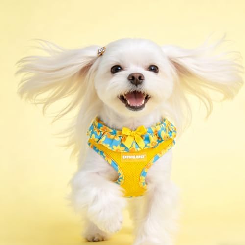 EXPAWLORER Step-in Dog Harness Small Sized and Leash Set - Image 7