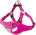 TRUE LOVE Dog Harness TLH5991 Anti Pull Safety Vest Step-in Style Harness by TRUELOVE