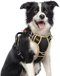 rabbitgoo Dog Harness Medium Sized, No Pull 3 Buckles Easy On & Off by rabbitgoo