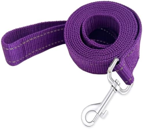 Reflective Dog Leash 4FT Long, 5/8 Inch Wide, by TAIDA